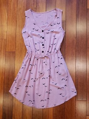 Light Mauve blackbird Dress. About an XS